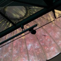 17. Iluminacja- Emil Rybka